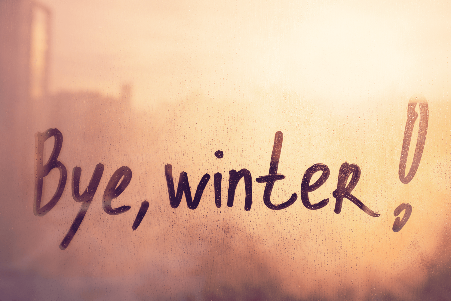 Bye Winter